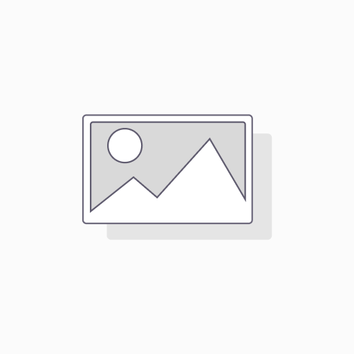 ربع دجاجة فحم + أرز مصري